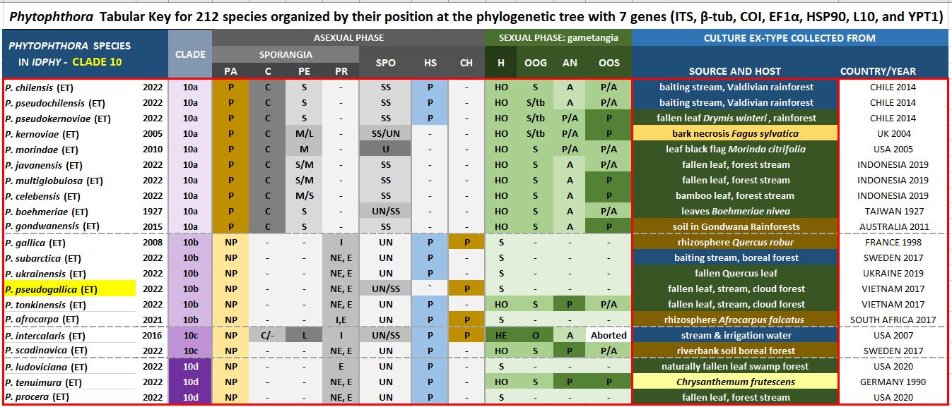    Phytophthora  spp. in subclade 10b:  Morphological Tabular key (PDF) and Tabular key legends (PDF) in IDphy2 KEY SECTION. Notice the data of   P. pseudogallica  Ex-type CBS 149206 . Gloria Abad, USDA Samp;T.
